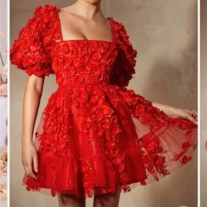 Alamour the Label Coraline Dress